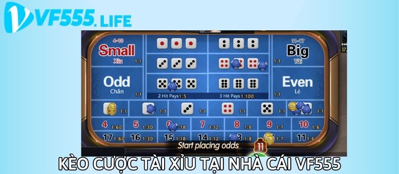 Tài xỉu là gì? Hướng dẫn cách chơi tài xỉu dễ thắng nhất 2025 3 tai xiu la gi huong dan cach choi tai xiu de thang nhat 2025 1454 2